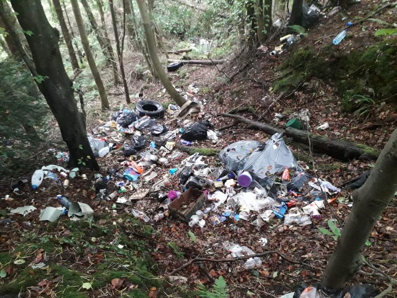 Louth councillor welcomes clean up of dumping ground in Omeath