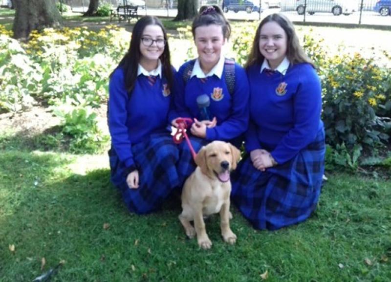 St Vincents students welcome school mascot from Dundalk Dog Rescue 