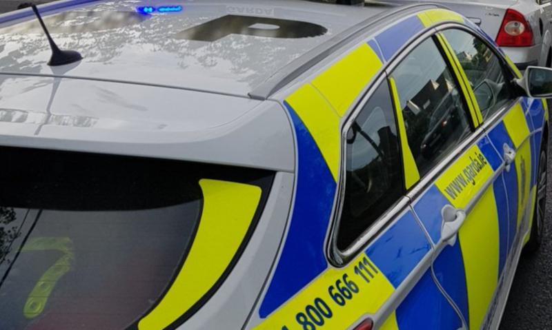 Mid-Louth: Gardaí investigate theft of lawnmowers in Annagassan 