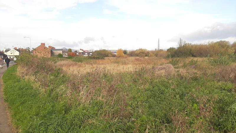 Lands behind Gosling Terrace in Dundalk to be sold in public auction
