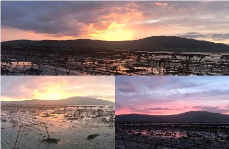 Keenan Oyster Farm now recruiting in Carlingford
