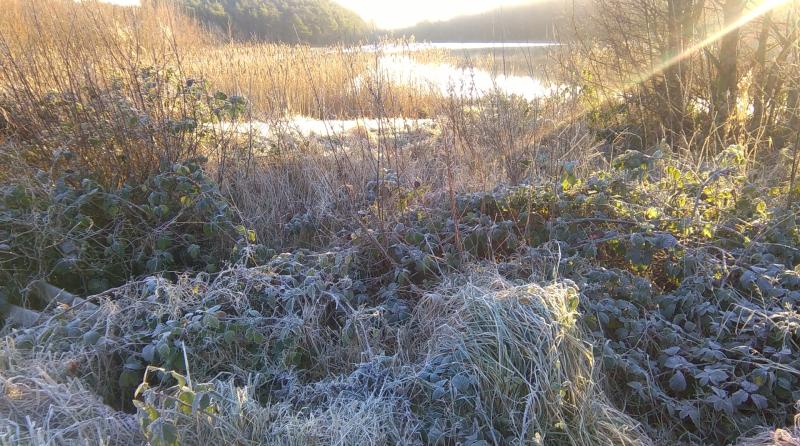 Tuesday's weather forecast for Louth