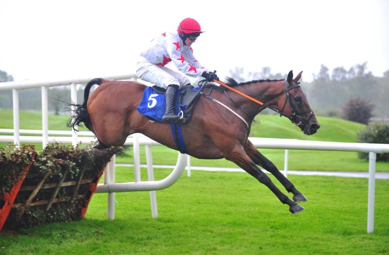 INSIDE TRACK | If Louth-owned Darver Star shines at Leopardstown, he could be headed for Cheltenham