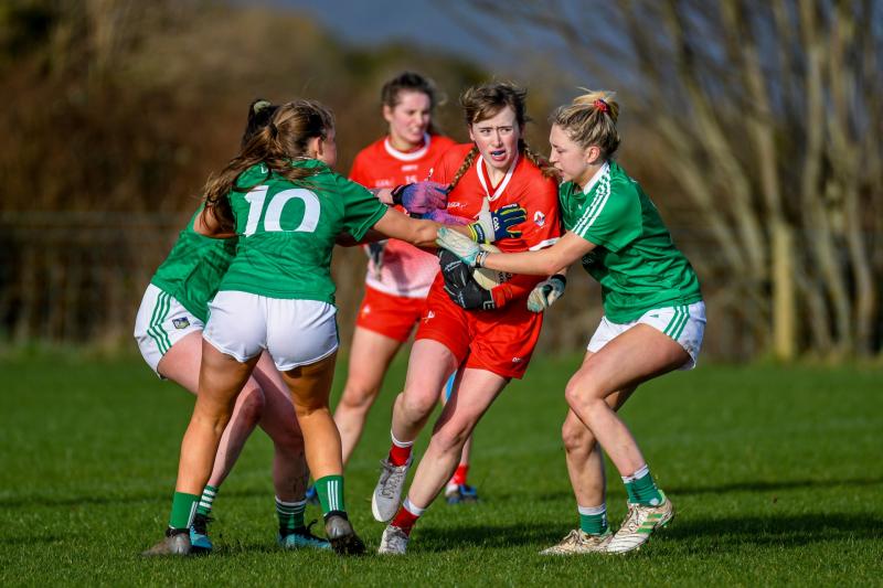 Freeman hails Louth's battling spirit as Reds pip Limerick for second league win