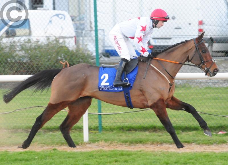 'This lad is the real deal' - Jockey Moore talks up Louth's 'impeccable' Cheltenham hopeful Darver Star