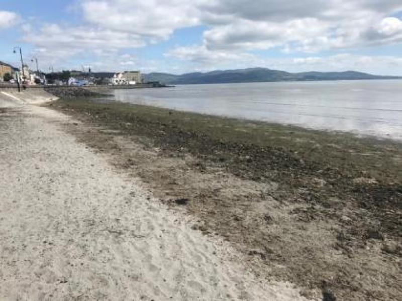 People flouting Covid restrictions at Blackrock beaches