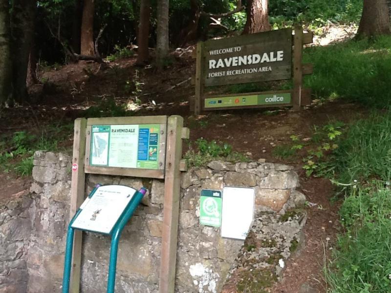 Locals urged to contact gardai over people not adhering to 2km restriction at north Louth forest park