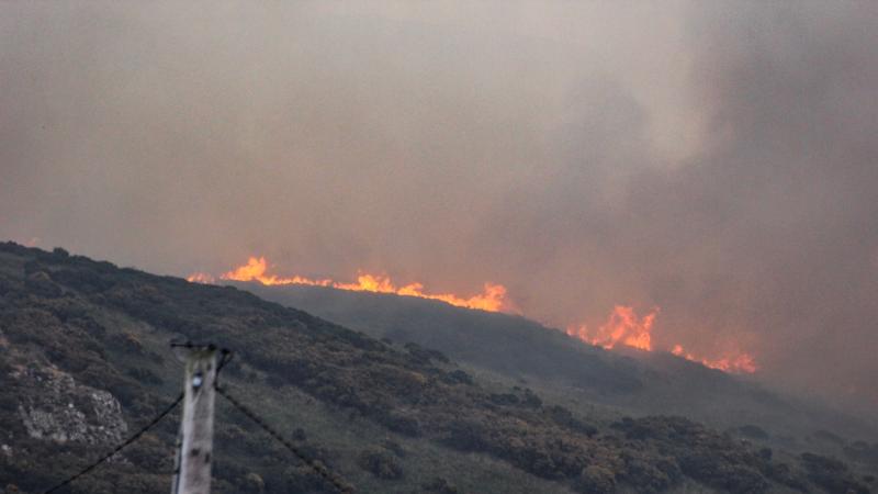 Burning of land and cutting of hedgerows in Louth prohibited from today