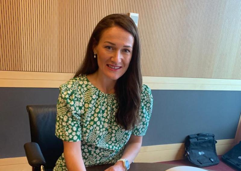 Louth senator welcomes legislation to crackdown on illegal dumping  