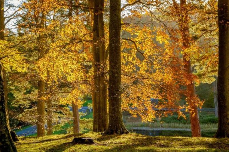 "Warm front" - Weather expert predicting temperatures in 20s next week 