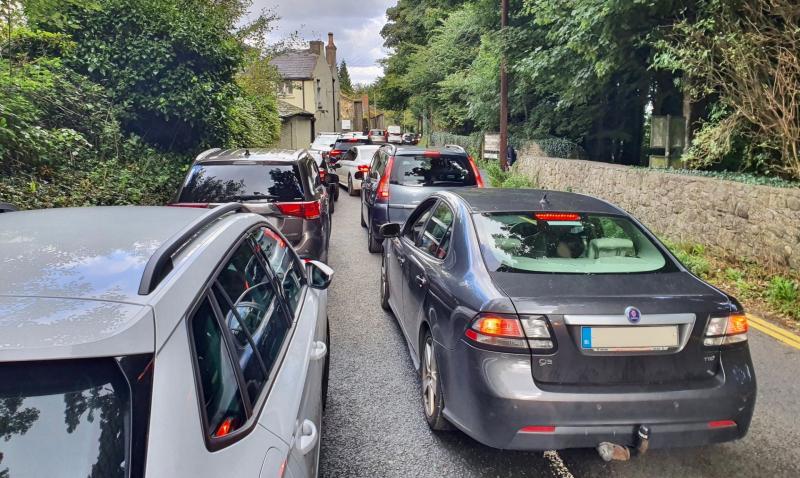 Vision Ireland appeals to Louth people to clean up and clear paths