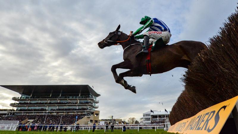 Irish owners face massive tax bill if sending horses to Cheltenham
