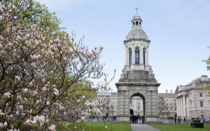 Louth students receive Trinity College Entrance Exhibition awards