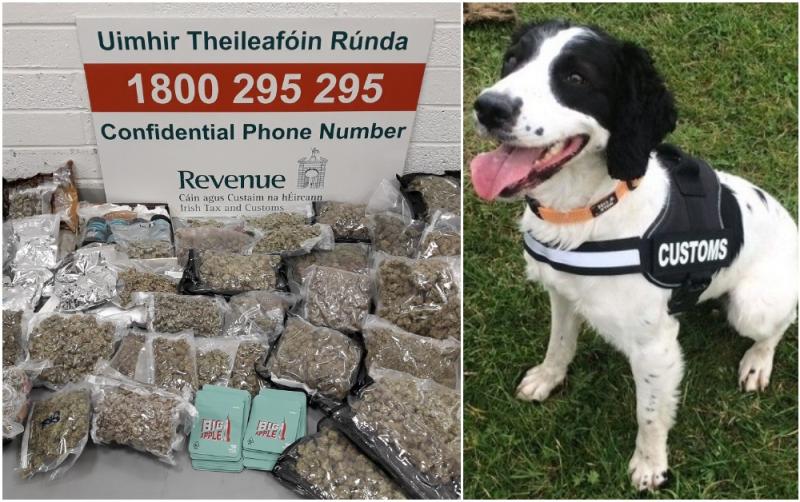 Revenue detector dogs sniff out huge haul of drugs at two mail centres 