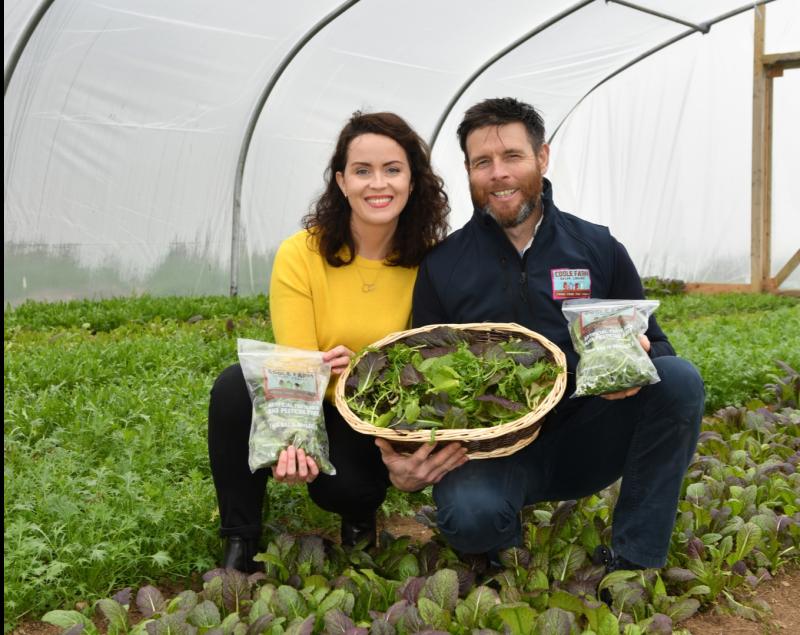 Salad success for Dundalk farmers