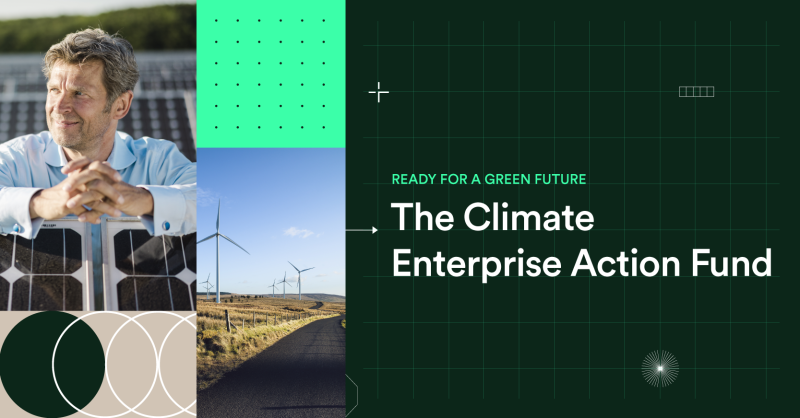 Enterprise Ireland initiatives encouraging Louth firms to start planning for a green future
