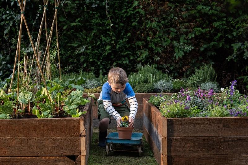 Woodies Dundalk calling on local children to take part in new gardening competition Louth Live