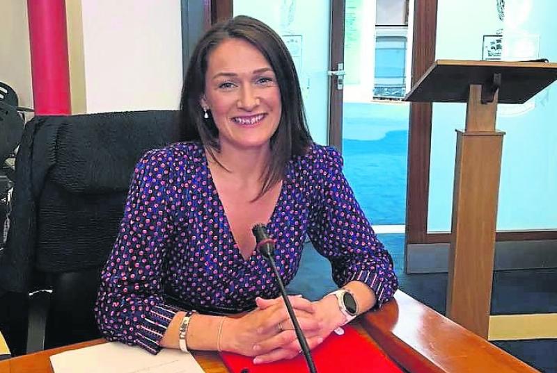 Louth Senator tackles "energy dumping" in Seanad speech 