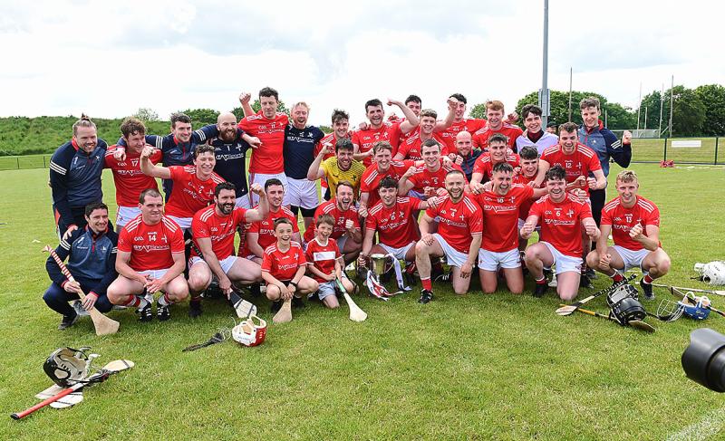 First silverware of 2021 goes to Louth hurlers who bag Division 3B title with victory over Fermanagh