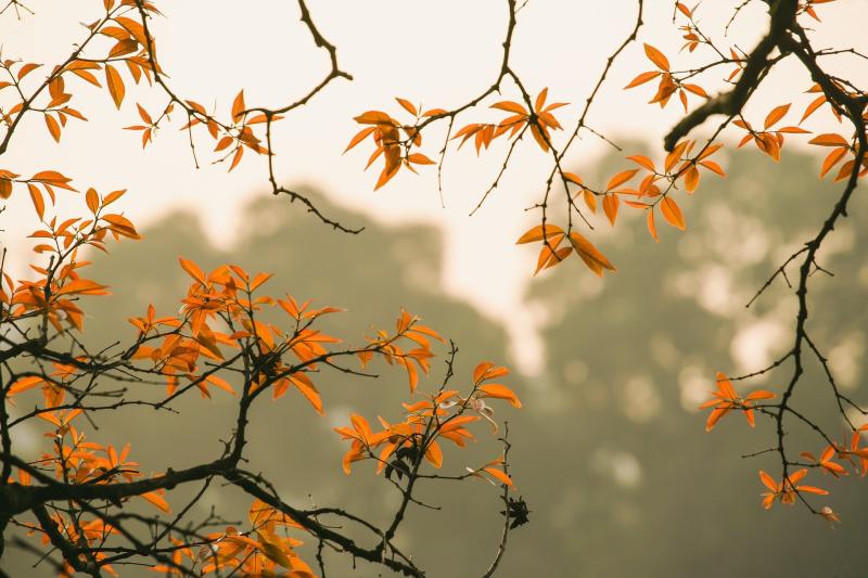 Met Éireann give glimmer of hope in weather forecast for this week 