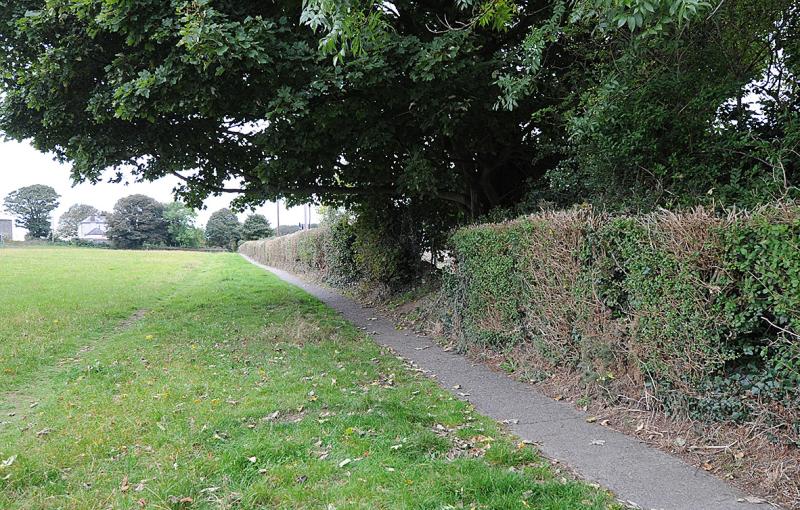 Concerns raised over anti-social behaviour in Haggardstown