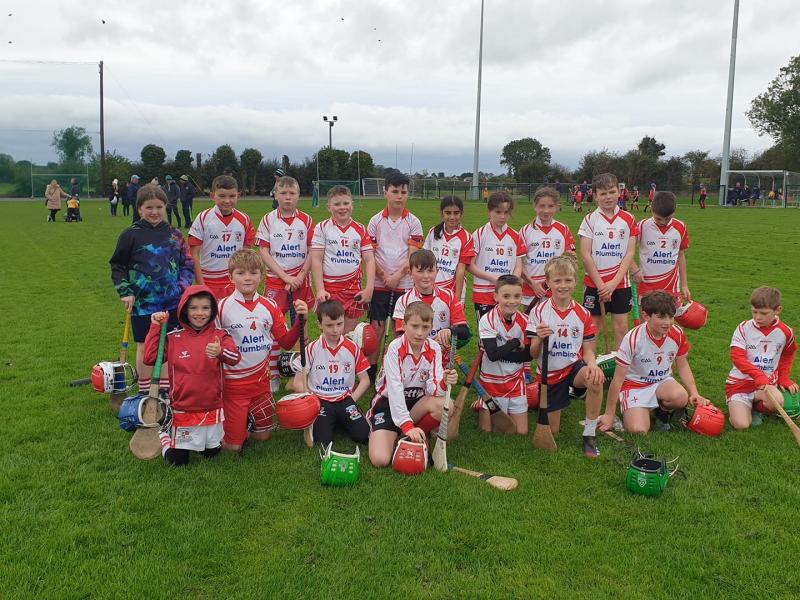 Knockbridge and St Fechins capture the honours at the Peggy McCreesh Hurling blitz