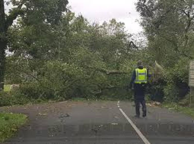 ALERT: Storm Ophelia death in Louth serves as chilling warning during Storm Éowyn