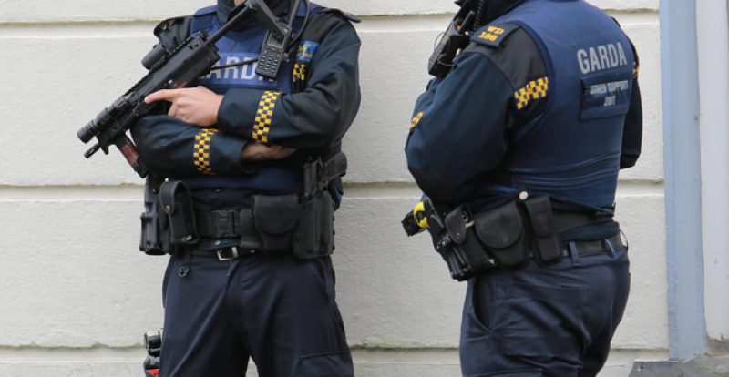 Armed Response Unit assist in arrest of man in Ardee