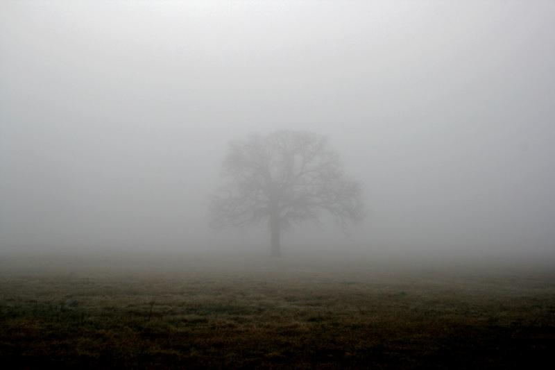 Saturday's weather in Louth 