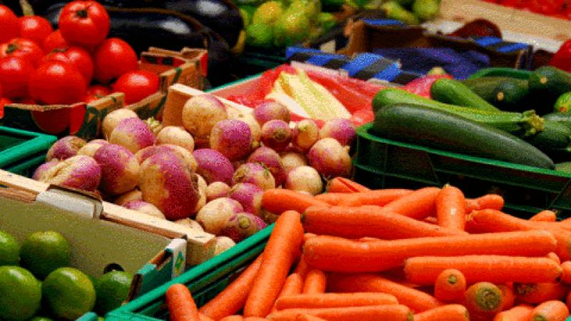 Appeal to people in Louth to join Stop Food Waste Challenge