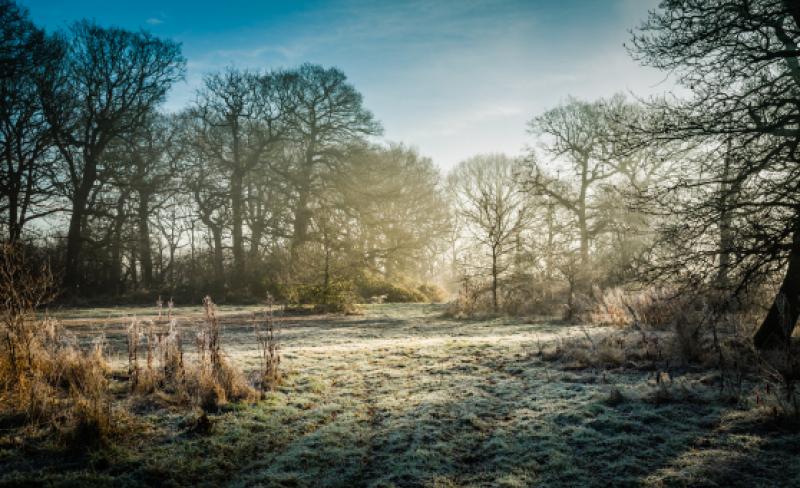 Met &Eacute;ireann predicts 10C temperature plunge after weekend heat blast
