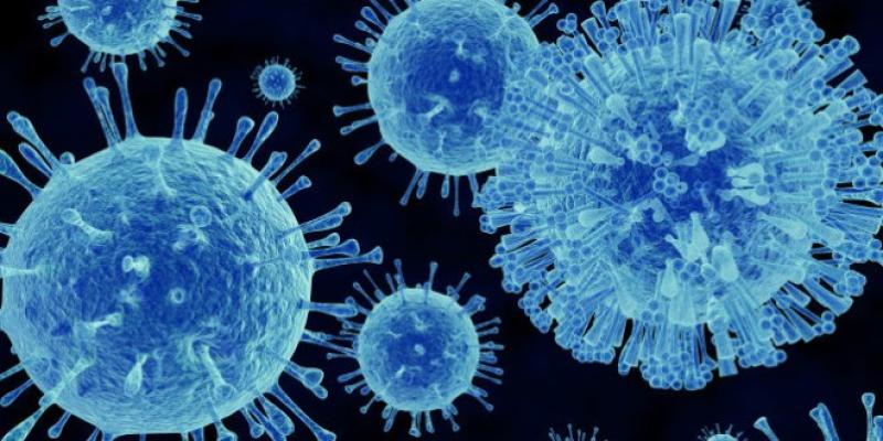 HSE warn people in Louth of rise in Norovirus cases