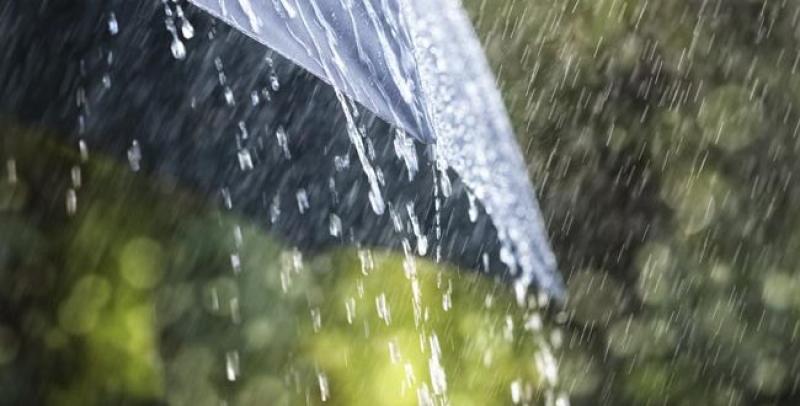 Saturday's weather forecast for Louth