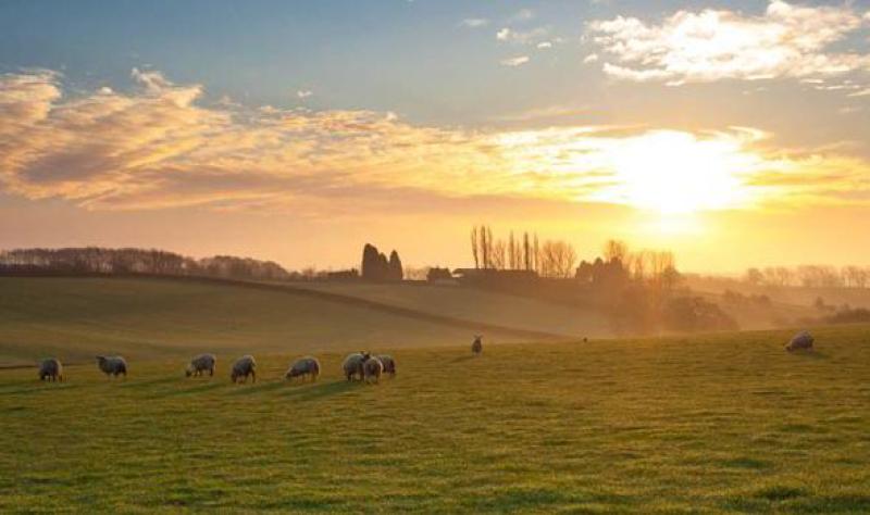 Louth Weather: Bright day today with long sunny spells