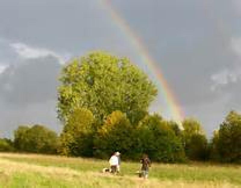 Saturday's weather forecast for Louth 