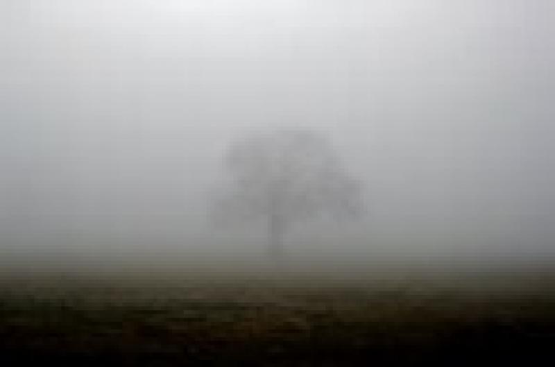 Louth Weather: Mostly cloudy with mist and fog