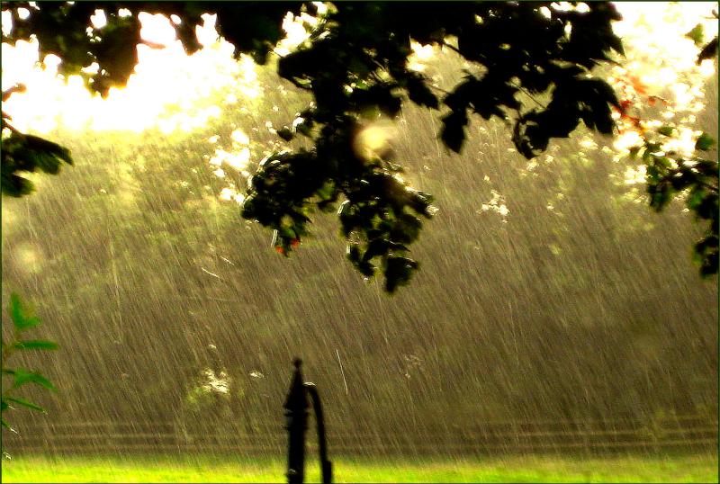 Saturday's weather forecast for Louth 