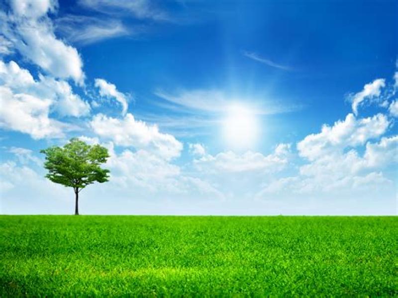 Thursday's weather forecast for Louth