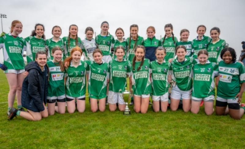Darver hosts action packed day of football as Geraldines grab Feile glory