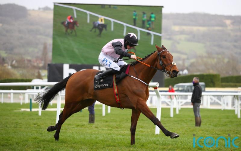 De Bromhead-trained Bob Olinger takes centre stage at Punchestown on Sunday