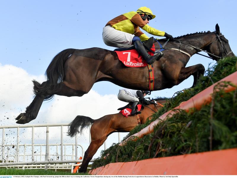 Some big market movers for Cheltenham after huge weekend of horse racing 