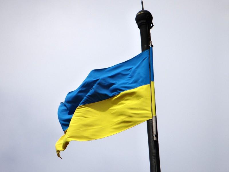 POLL: Would you open your home to a Ukrainian refugee? 