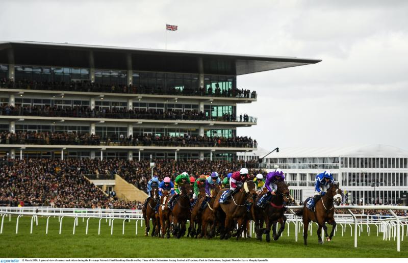 Cheltenham Festival 2022 Day 1 Tips - The horses worth a bet on Tuesday