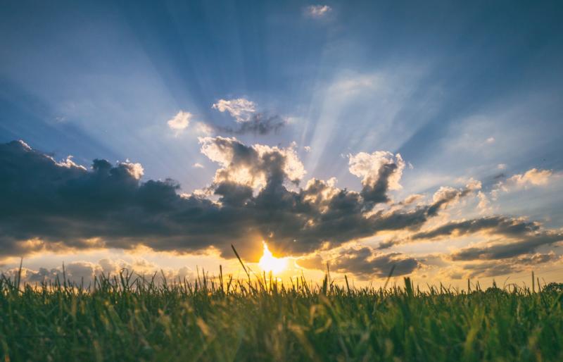 Wednesday's weather forecast for Louth