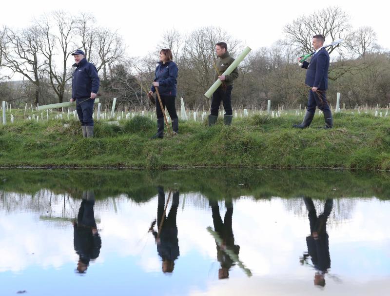 TREES Project to protect and restore vital habitats in Carlingford catchment area