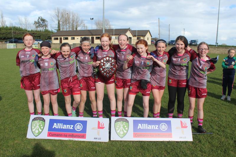 Allianz Cumann na mBunscol All County Blitz Finals return after long hiatus