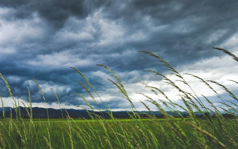 Friday's weather forecast for Louth 