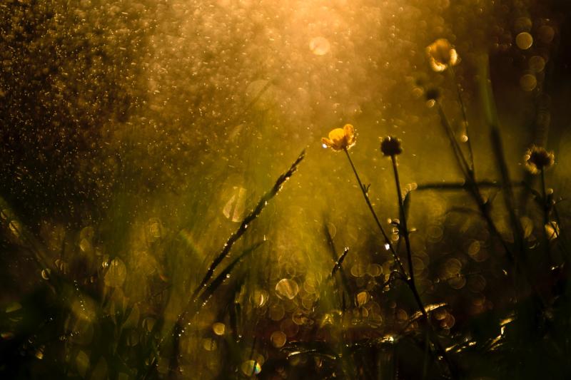 Sunday's weather forecast for Louth 