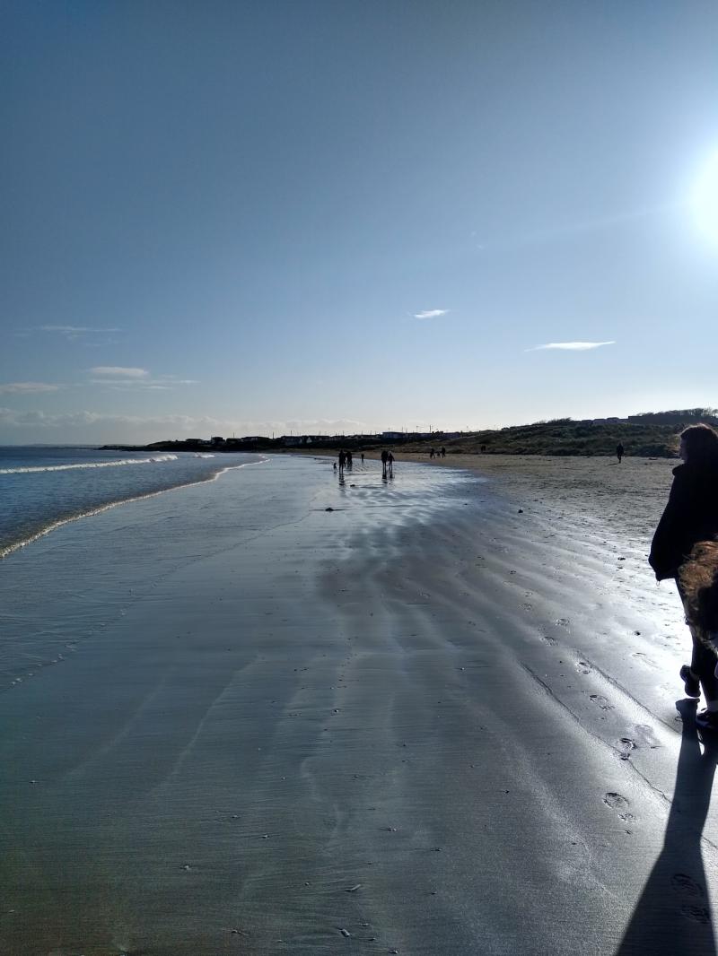 Louth County Council deploys beach lifeguards to Blue Flag beaches