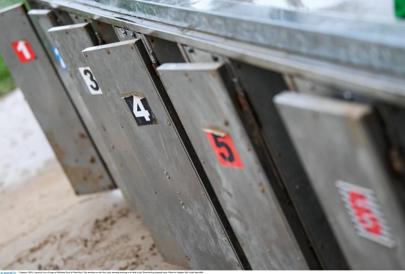 The latest greyhound racing results from Dundalk Stadium 